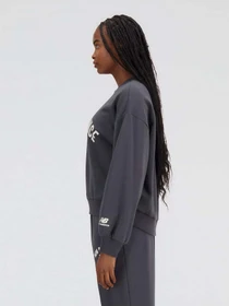 Худі та світшоти New Balance Essentials Varsity модель WT33553ACK Фото