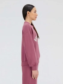 Худи и свитшоты New Balance Essentials Varsity модель WT33553WAD Фото