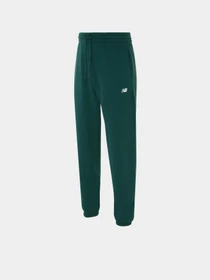 Брюки New Balance SMALL LOGO модель MP41519NWG Фото