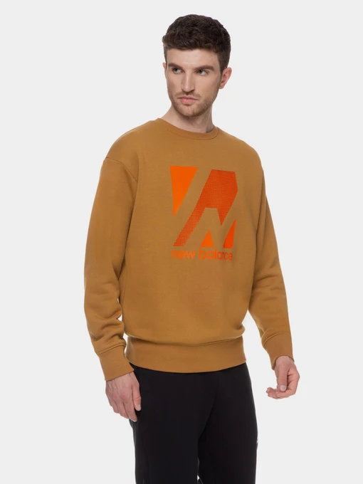 Худі та світшоти New Balance Essentials Terrain модель MT03537WWK Фото