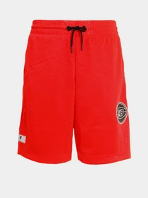 Шорты New Balance Essential Bball модель MS13580ENR Фото