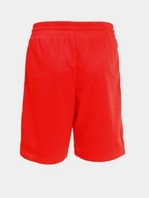 Шорты New Balance Essential Bball модель MS13580ENR Фото