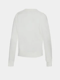 Худі та світшоти New Balance Essentials Pullover модель WT03551SST Фото