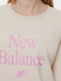 Худі та світшоти New Balance Essentials Celebrate модель WT21508CTU Фото