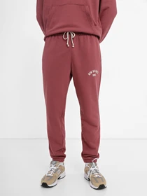 Брюки New Balance Essentials Varsity модель MP33551WAD Фото