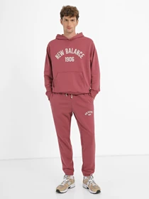 Худі та світшоти New Balance Essentials Varsity модель MT33553WAD Фото