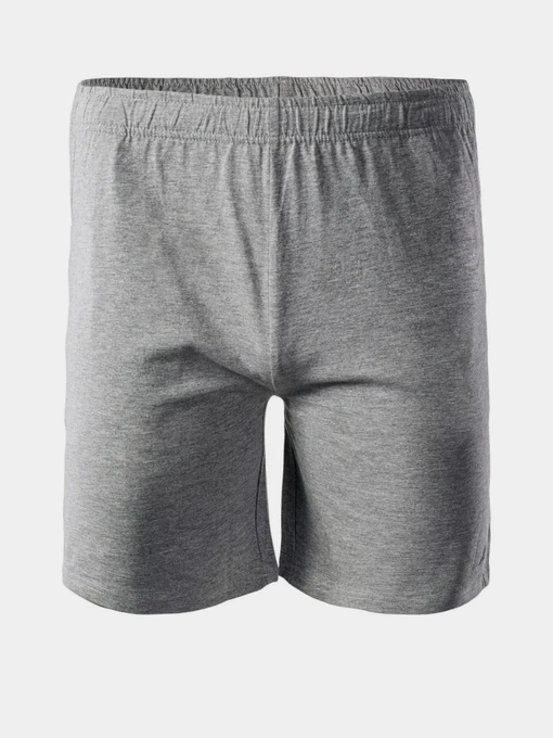Шорты Martes Essentials модель MOEN-MEDIUM GREY MELANGE Фото