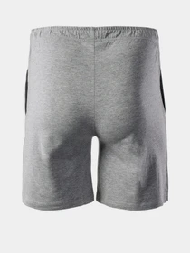 Шорти Martes Essentials модель MOEN-MEDIUM GREY MELANGE Фото
