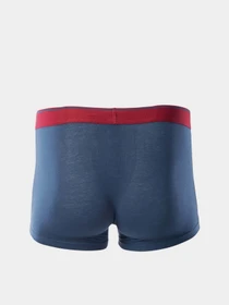 Нижнее белье Martes Essentials модель RAJESH-INSIGNIA BLUE/RIO RED Фото
