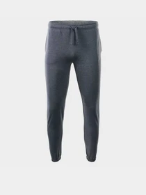 Брюки Martes модель MALTER-MEDIUM GREY MELANGE Фото
