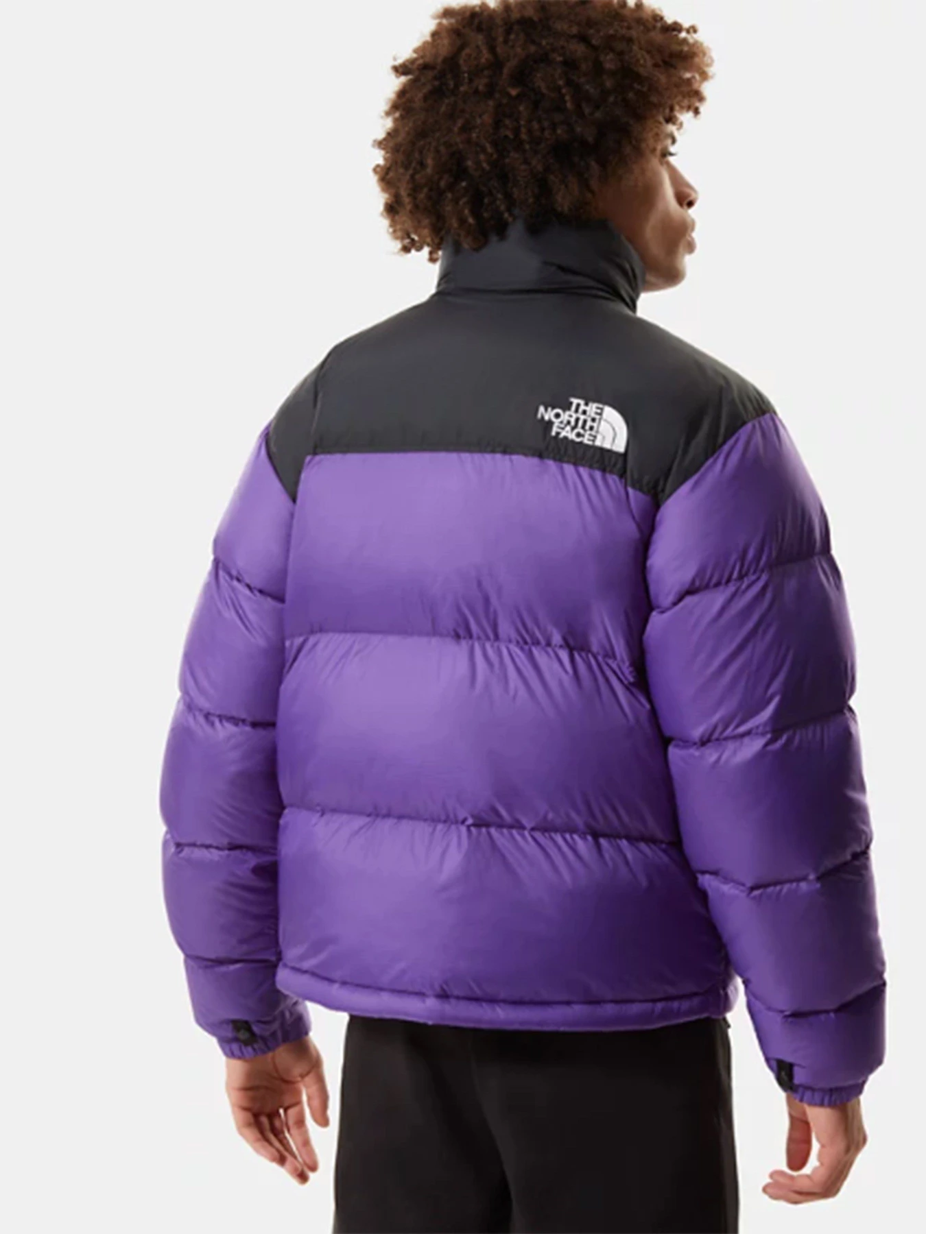 Куртки и дубленки The North Face 1996 Retro Nuptse модель NF0A3C8DNL41 Фото