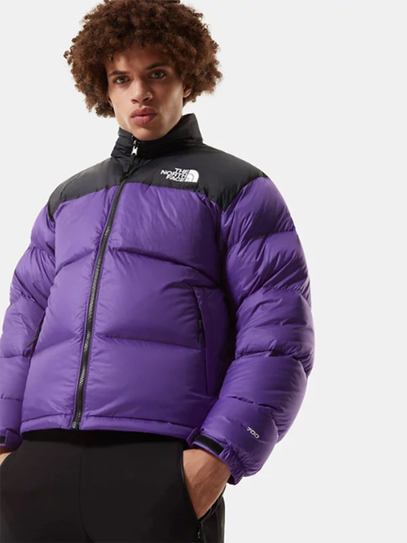 Куртки и дубленки The North Face 1996 Retro Nuptse модель NF0A3C8DNL41 Фото