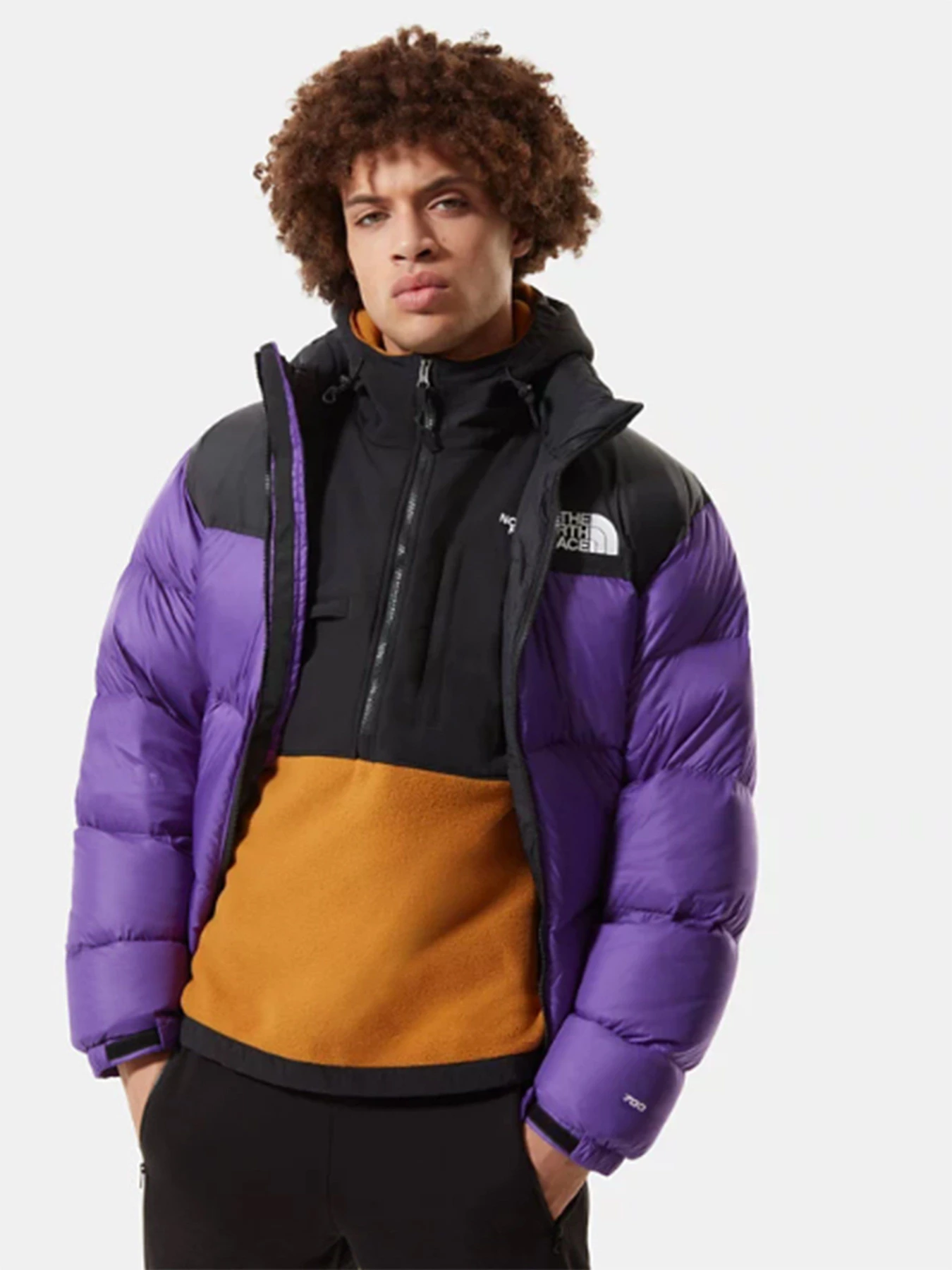 Куртки и дубленки The North Face 1996 Retro Nuptse модель NF0A3C8DNL41 Фото