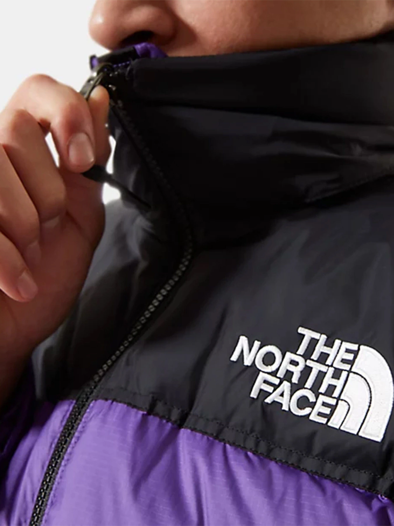 Куртки и дубленки The North Face 1996 Retro Nuptse модель NF0A3C8DNL41 Фото