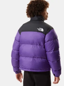Куртки и дубленки The North Face 1996 Retro Nuptse модель NF0A3C8DNL41 Фото