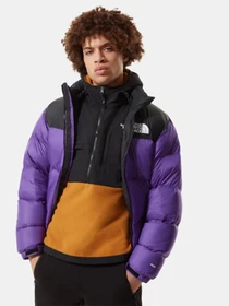Куртки и дубленки The North Face 1996 Retro Nuptse модель NF0A3C8DNL41 Фото