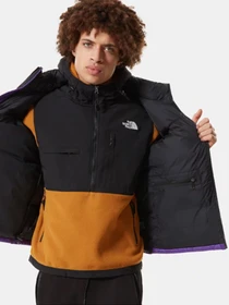 Куртки и дубленки The North Face 1996 Retro Nuptse модель NF0A3C8DNL41 Фото