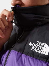 Куртки и дубленки The North Face 1996 Retro Nuptse модель NF0A3C8DNL41 Фото