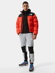 Худи и свитшоты The North Face Himalayan Full Zip модель NF0A4SWMJK31 Фото