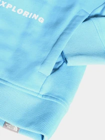 Худи и свитшоты The North Face Geodome модель NF0A4M7HL8P1 Фото