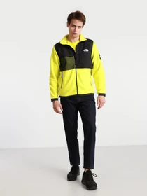 Худі та світшоти The North Face Black Box Denali модель NF0A557AJE31 Фото