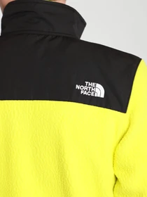 Худі та світшоти The North Face Black Box Denali модель NF0A557AJE31 Фото