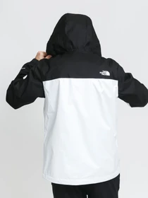 Куртки и дубленки The North Face Black Box Mountain Q модель NF0A55BSFN41 Фото