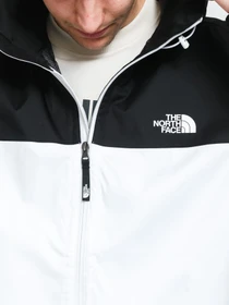 Куртки и дубленки The North Face Black Box Mountain Q модель NF0A55BSFN41 Фото