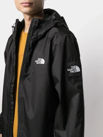 Куртки и дубленки The North Face  Box Mountain модель NF0A55BSJK31 Фото