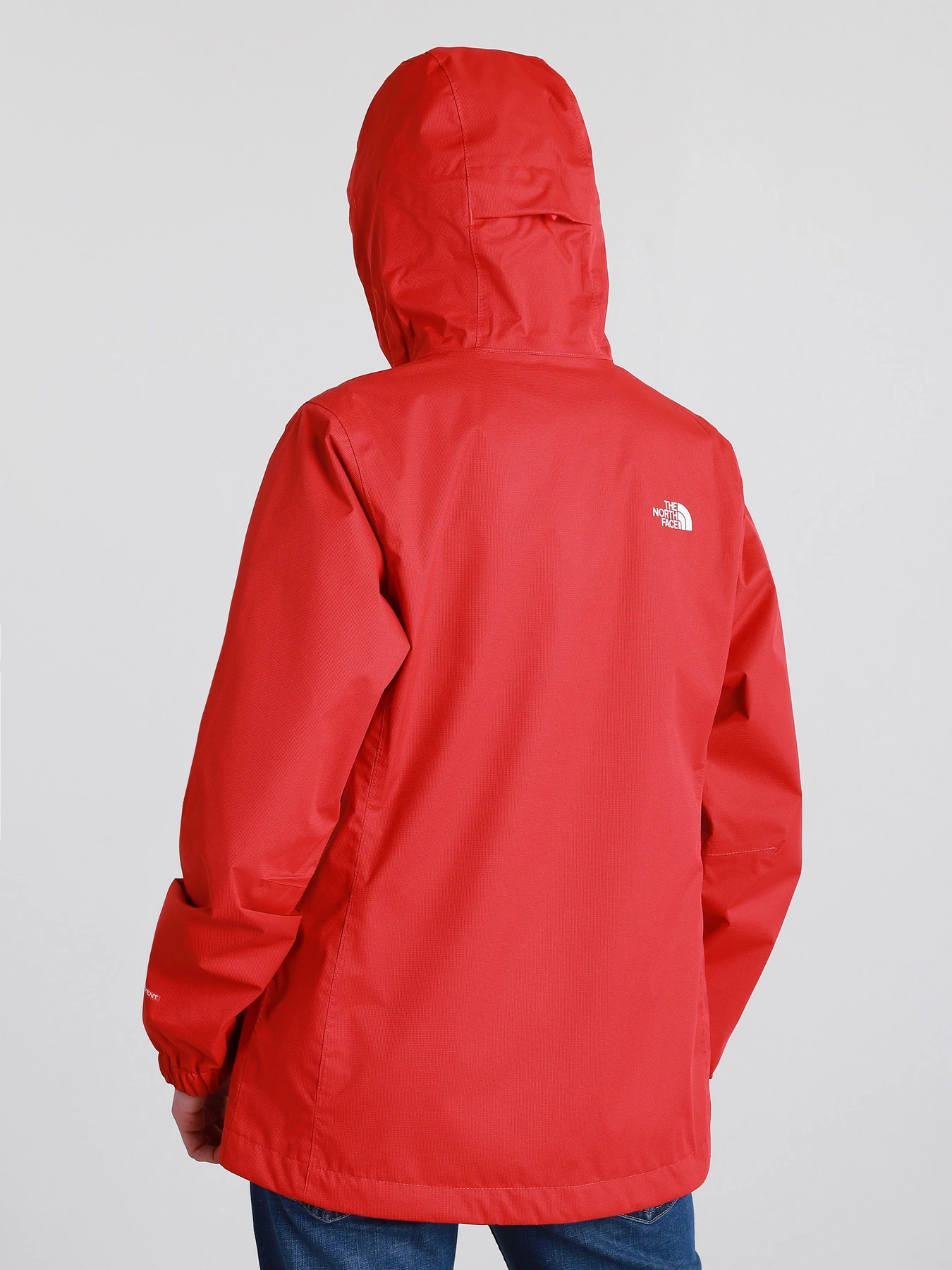 Куртки та дублянки The North Face Quest модель NF00A8BAX731 Фото