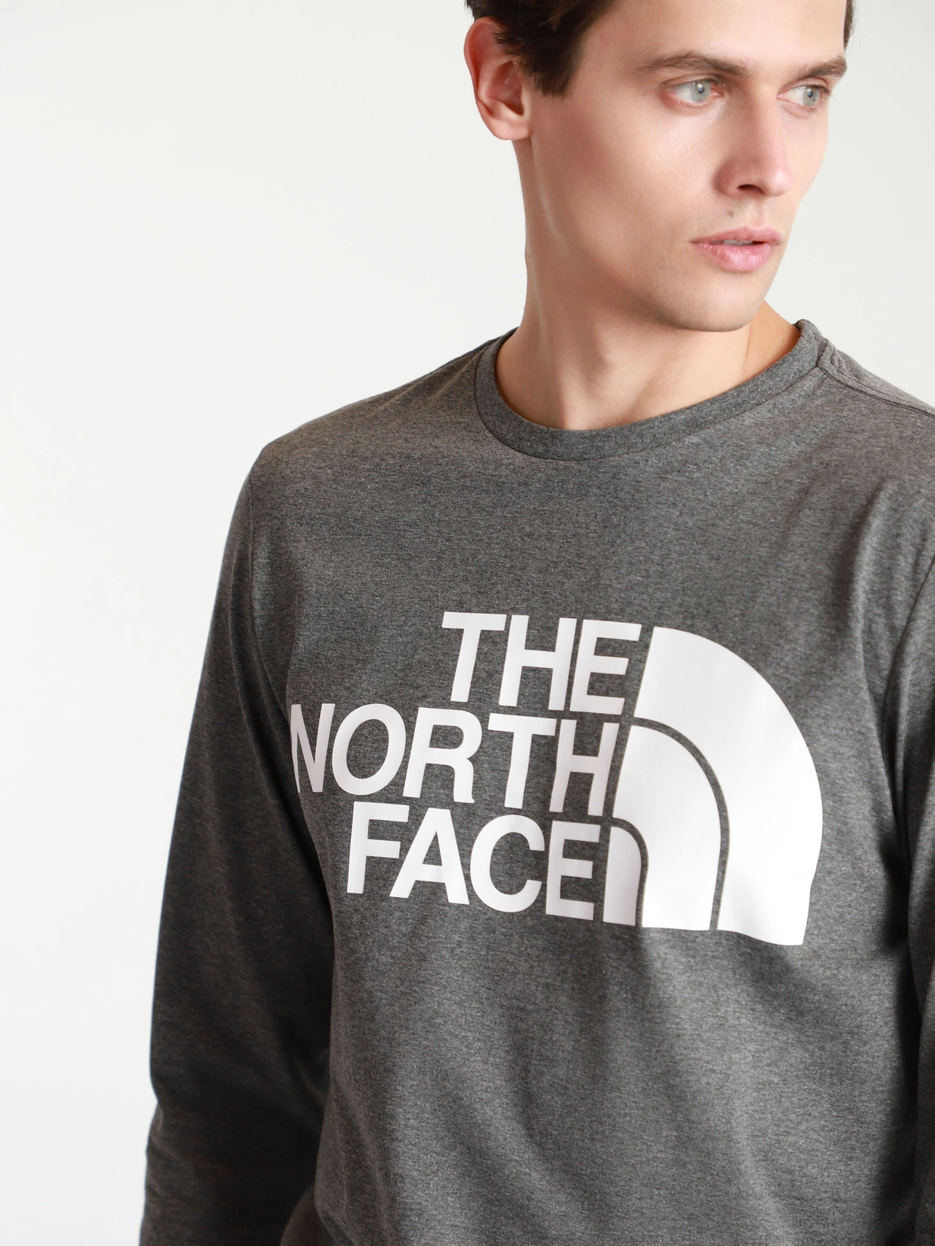 Худи и свитшоты The North Face STANDARD LS модель NF0A5585DYY1 Фото
