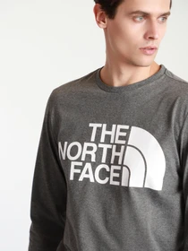 Худи и свитшоты The North Face STANDARD LS модель NF0A5585DYY1 Фото