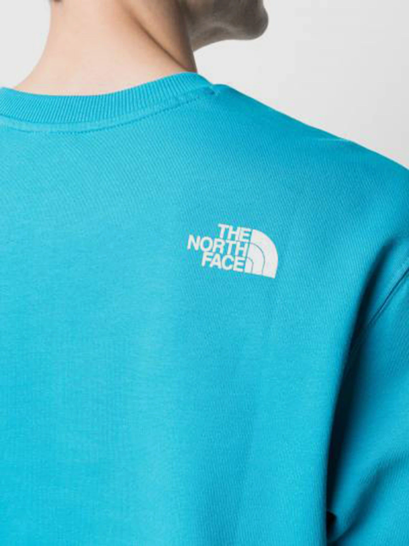Худі та світшоти The North Face STANDARD CREW модель NF0A4M7WD7R1 Фото