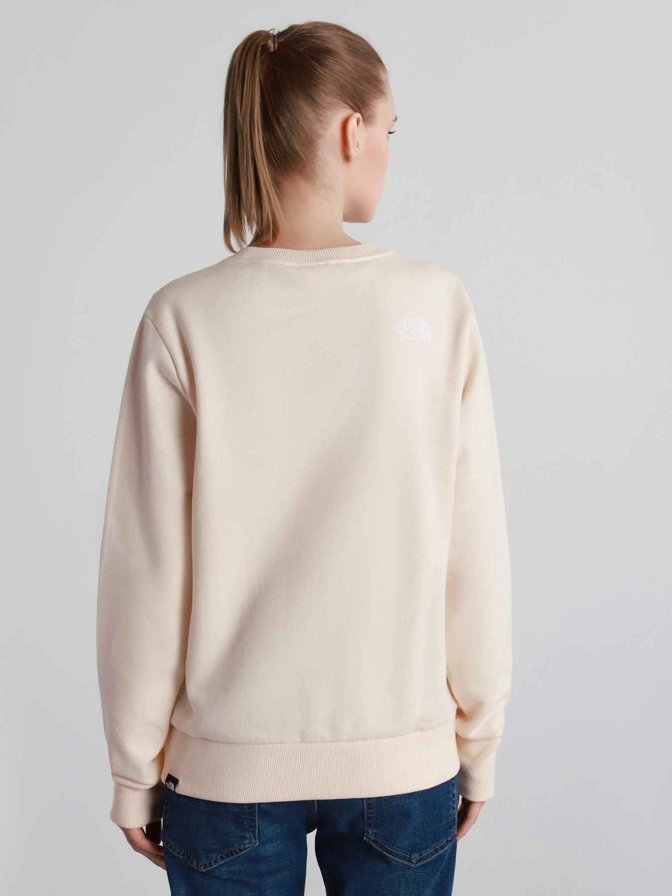 Худи и свитшоты The North Face Standard модель NF0A4M7EV361 Худи и свитшоты The North Face Standard модель NF0A4M7EV361 Фото