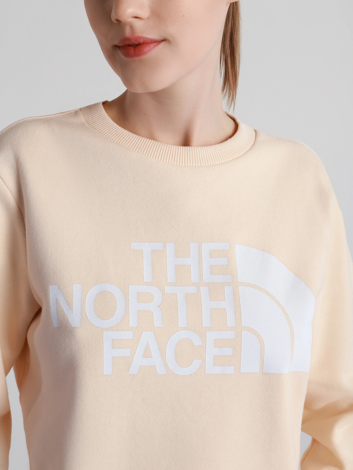 Худи и свитшоты The North Face Standard модель NF0A4M7EV361 Худи и свитшоты The North Face Standard модель NF0A4M7EV361 Фото
