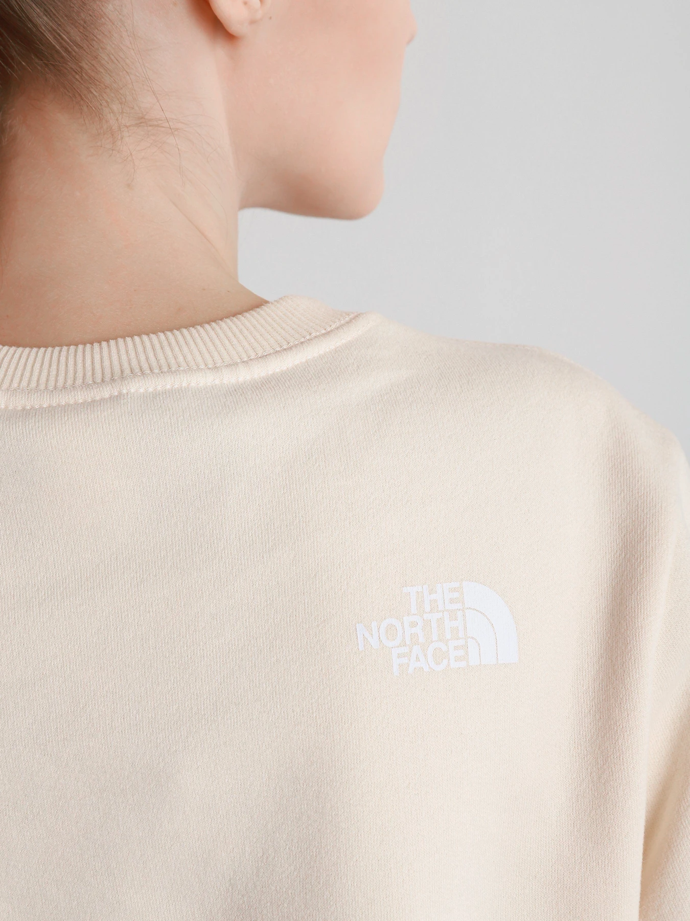 Худи и свитшоты The North Face Standard модель NF0A4M7EV361 Худи и свитшоты The North Face Standard модель NF0A4M7EV361 Фото