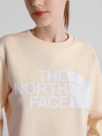 Худи и свитшоты The North Face Standard модель NF0A4M7EV361 Фото