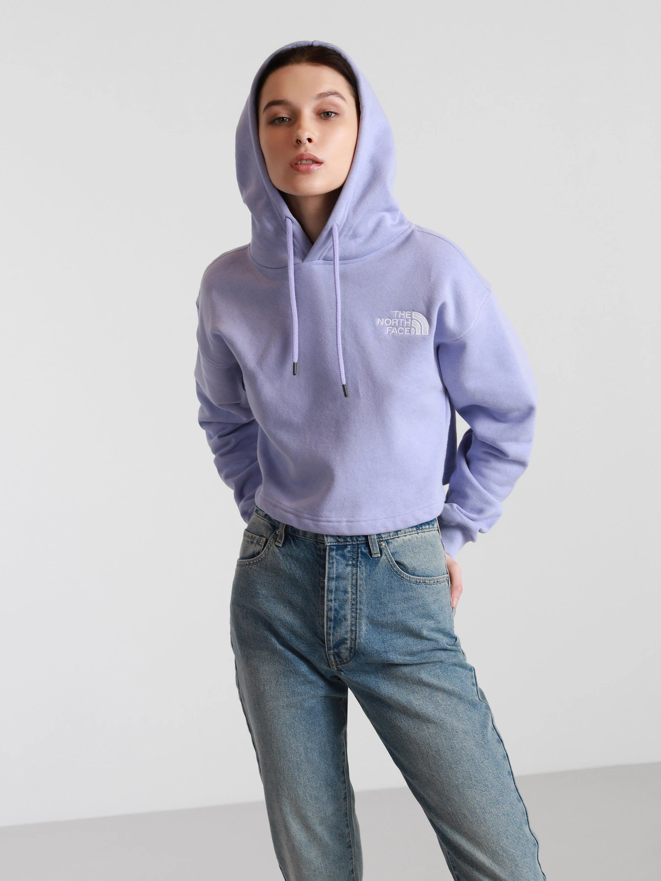 Худи и свитшоты The North Face Logo Crop Drop модель NF0A53BVW231 Худи и свитшоты The North Face Logo Crop Drop модель NF0A53BVW231 Фото