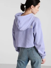 Худи и свитшоты The North Face Logo Crop Drop модель NF0A53BVW231 Фото