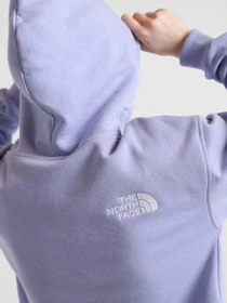 Худи и свитшоты The North Face Logo Crop Drop модель NF0A53BVW231 Фото