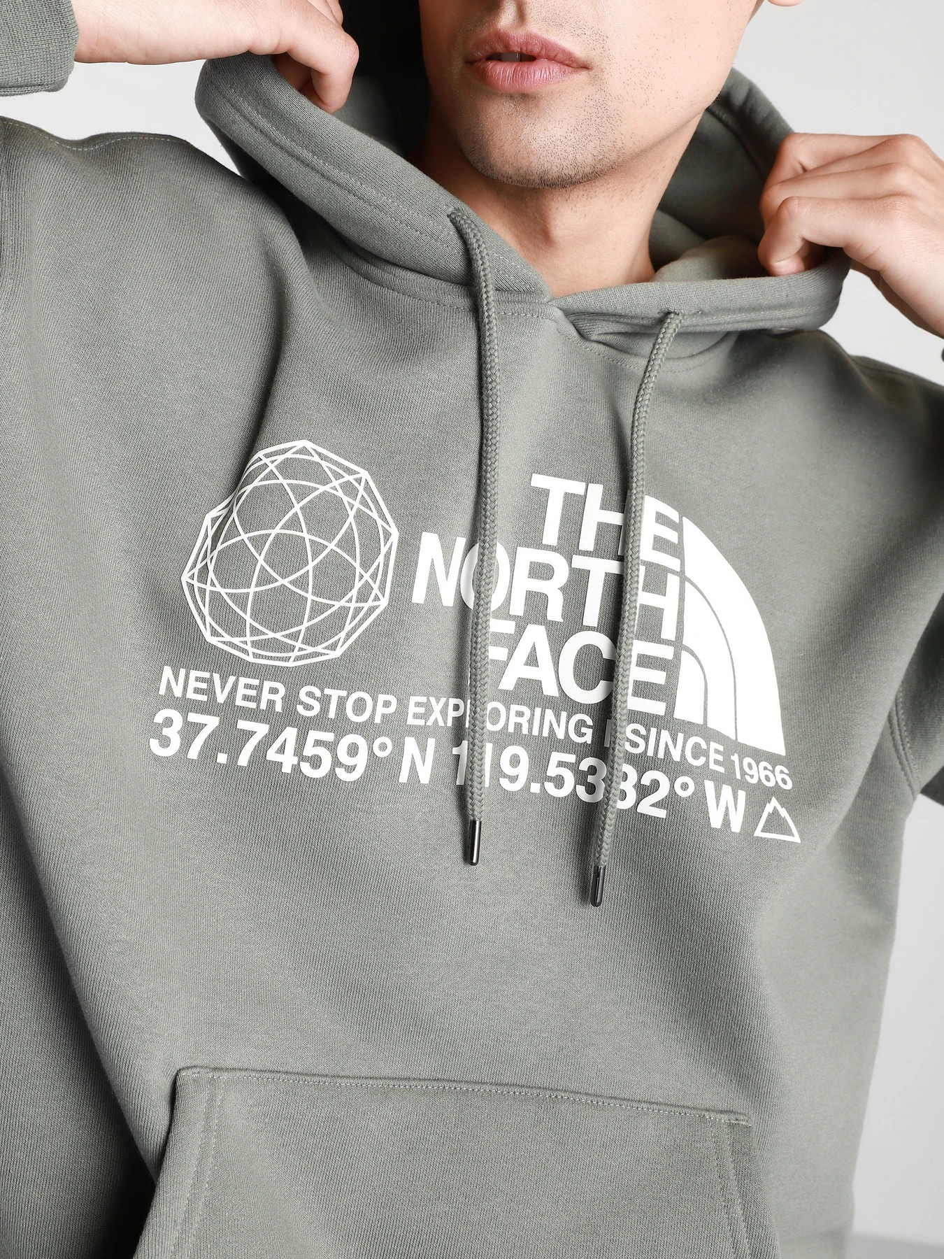 Худі та світшоти The North Face COORDINATES P / O модель NF0A55MWV381 Фото