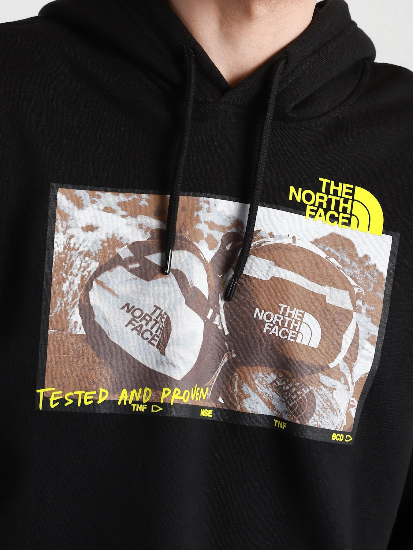 Худі та світшоти The North Face Base Fall Graphic модель NF0A55TUJK31 Фото