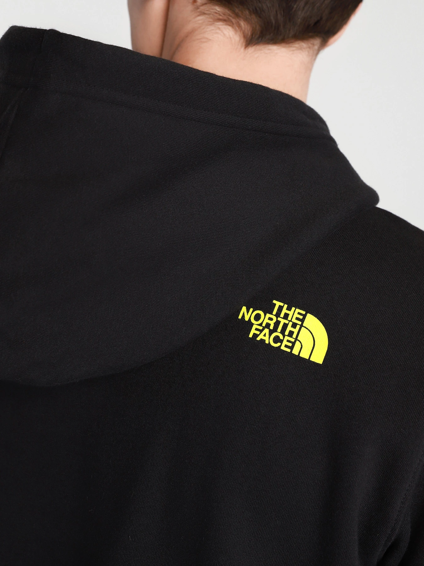 Худі та світшоти The North Face Base Fall Graphic модель NF0A55TUJK31 Фото