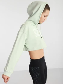 Худи и свитшоты The North Face Coordinates Crop Drop модель NF0A55UYV391 Фото
