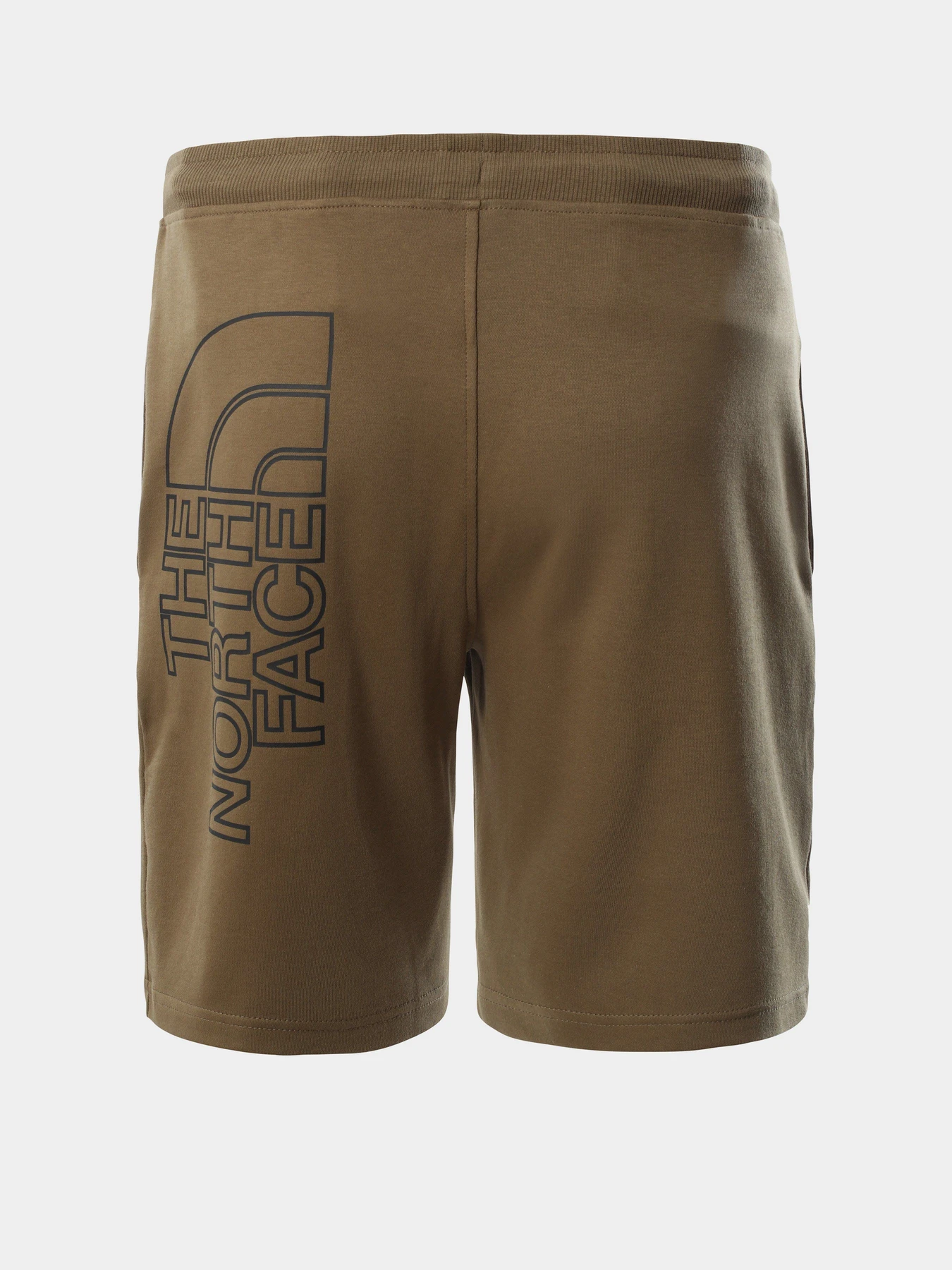 Шорты The North Face Graphic Short Light модель NF0A3S4F37U1 Фото