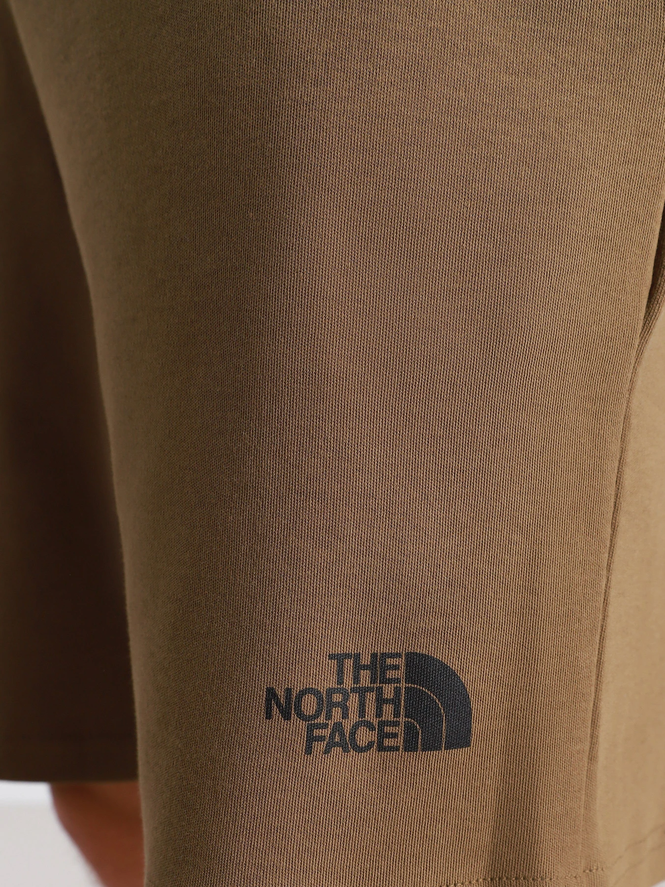 Шорты The North Face Graphic Short Light модель NF0A3S4F37U1 Фото