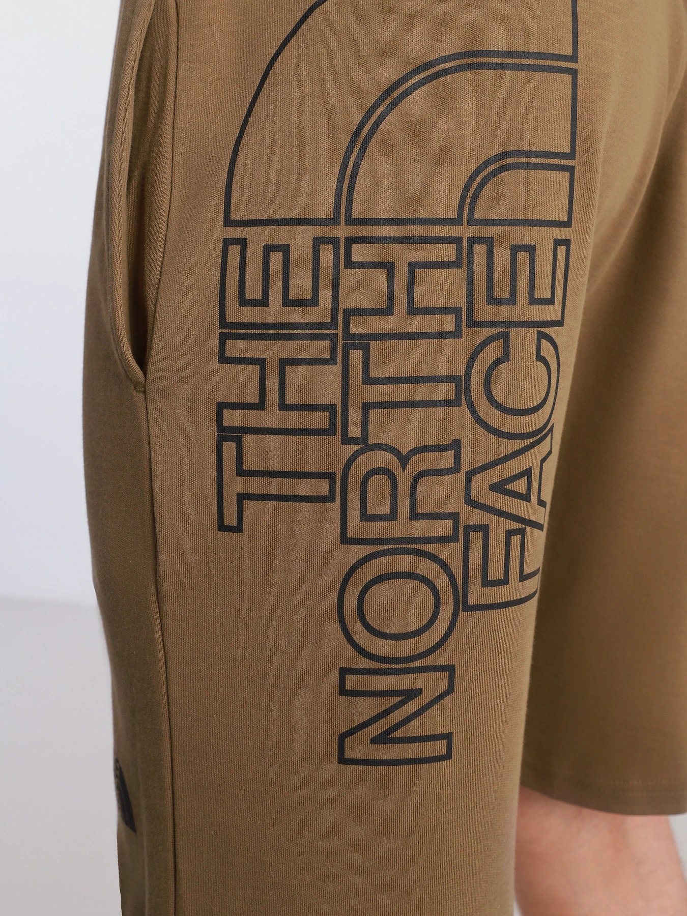 Шорты The North Face Graphic Short Light модель NF0A3S4F37U1 Фото