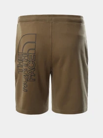 Шорты The North Face Graphic Short Light модель NF0A3S4F37U1 Фото