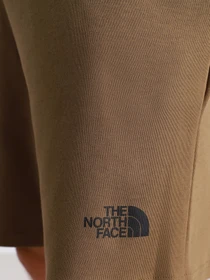 Шорты The North Face Graphic Short Light модель NF0A3S4F37U1 Фото