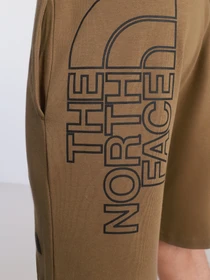 Шорты The North Face Graphic Short Light модель NF0A3S4F37U1 Фото
